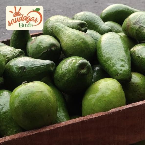 

Glx BUAH ALPUKAT MENTEGA LAMPUNG