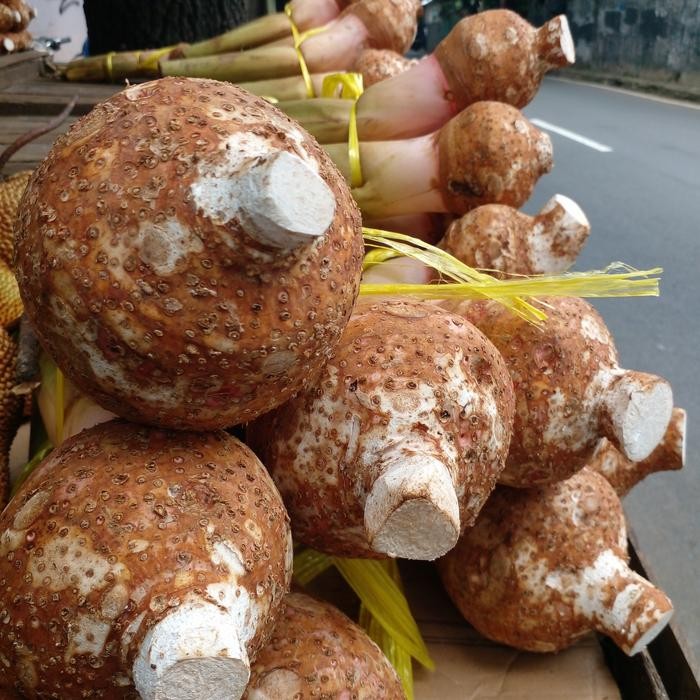 

Glx buah talas bogor super 1ikat isi 2 buah - 6 buah