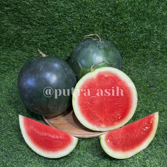 

Glx semangka merah 1 buah