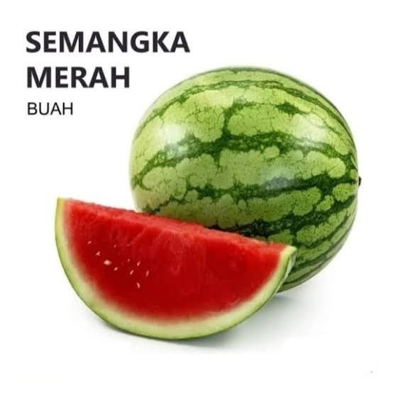 

Glx Semangka semangka tanpa biji