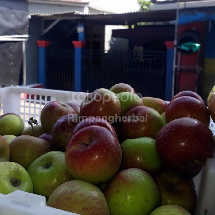 

Glx apel malang apel malang hijau GRADE A buah segar PROMO 1KG