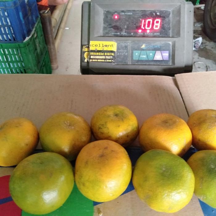 

Glx Jeruk Medan Jumbo size 6 pcs dalam 1 kg