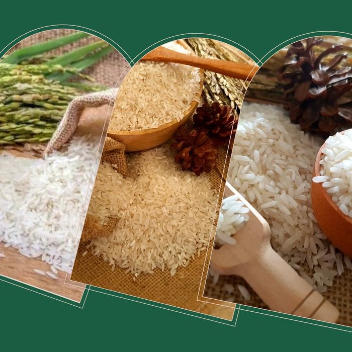 

Beras Daun suji/ Beras Pulen / Beras Premium