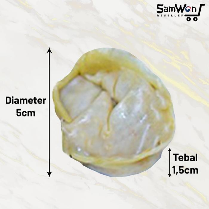 

Ger MANDU Korean Dumpling Frozen Gyoza Pangsit Korea Gyoja isi 12pcs