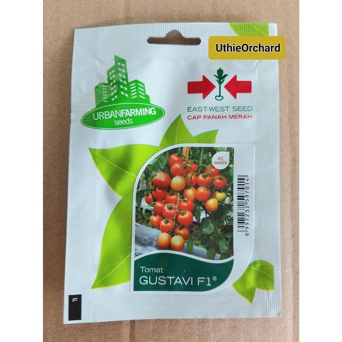 Benih Panah Merah Tomat Gustavi F1