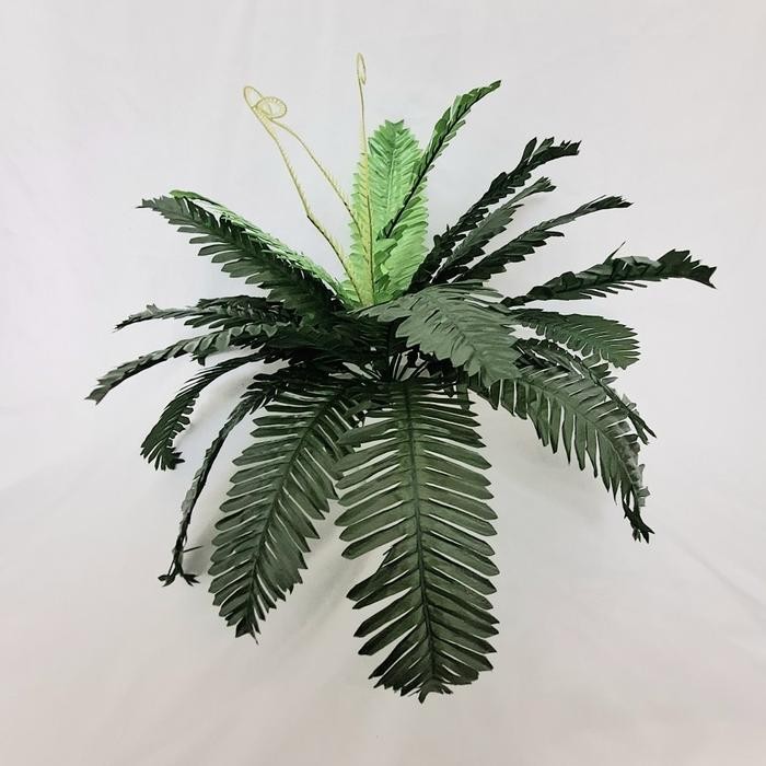 daun pakis hias daun pakis besi paku daun hiasan dinding tancap pot