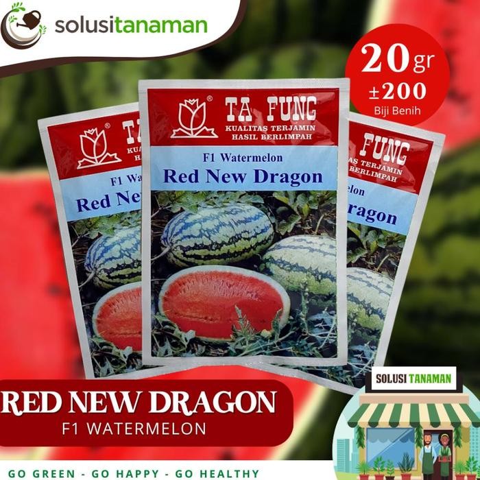 (-) Benih Semangka Red New Dragon F1 20gr Bibit Semangka Ta Fung Benih Semangka Tafung Watermelon
