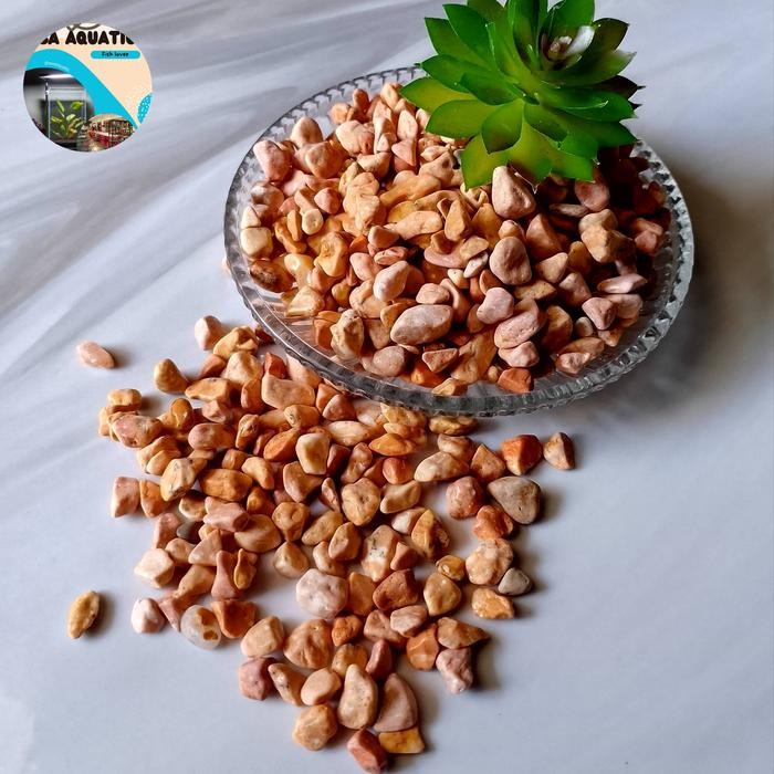 Batu Alam / Batu Hias / kerikil / Batu Krem Terrarium / rium / Taman *