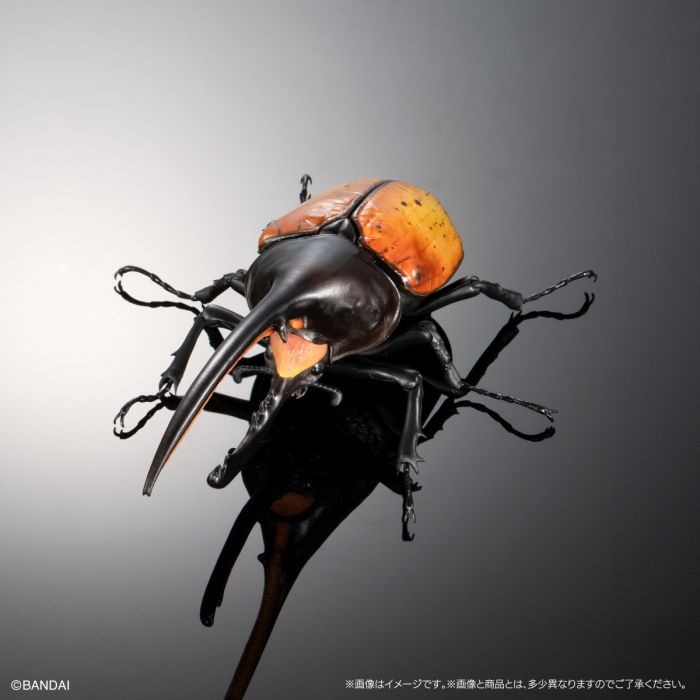ikimono figure kumbang badak hercules equatorian and occidental rhinoceros Beetle bandai gashapon ga