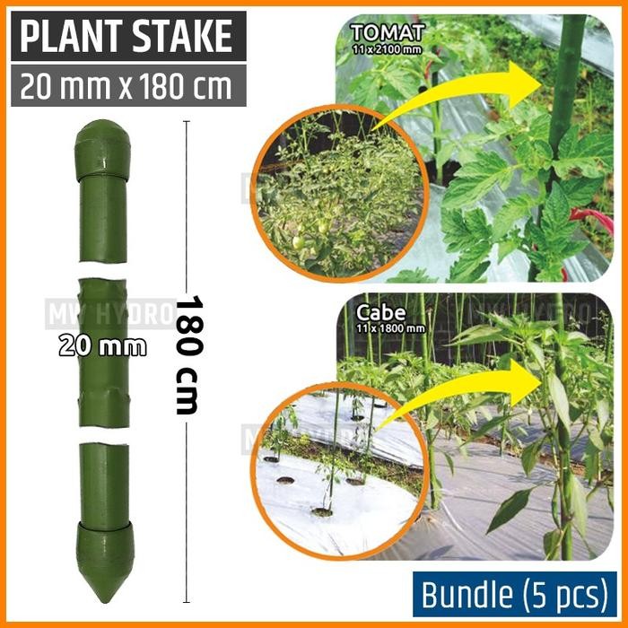 Premium 5 pcs Plant Stake / Ajir Tanaman - TAKIRON - 20 mm x 180 cm
