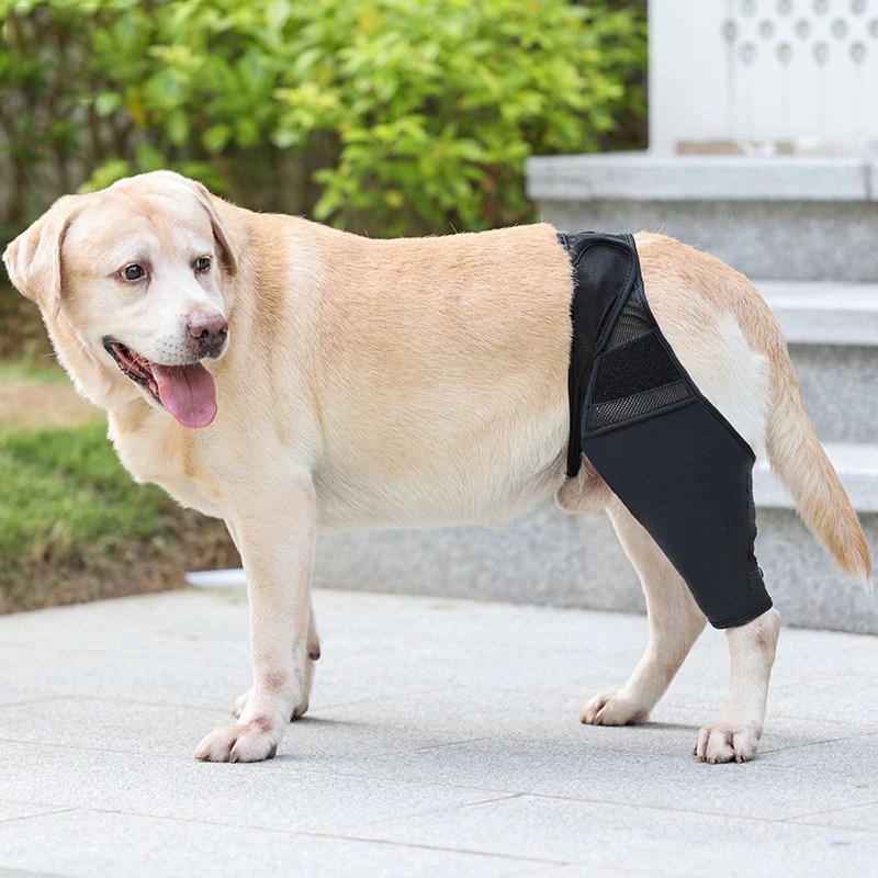 Dog Surgical Injury Fixed Knee Pads Support Cat Brace Leggings Set Pet Protector Dog Feet Cover Leg