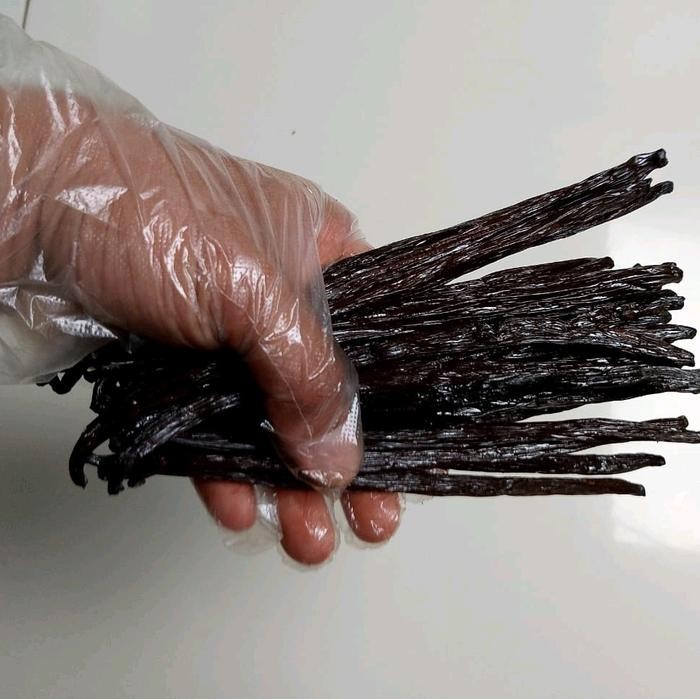 

Vanili kering grade A+ / gourmet berat 50 gram Bubuk Bahan Penyedap Rempah