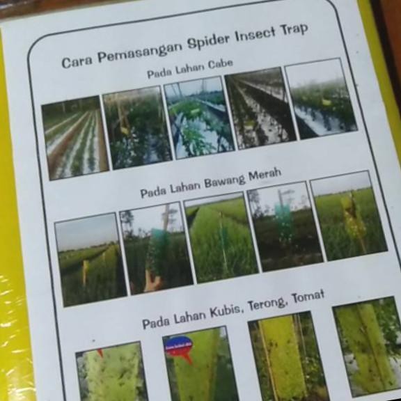 (Allthebest) SPIDER INSECT TRAP