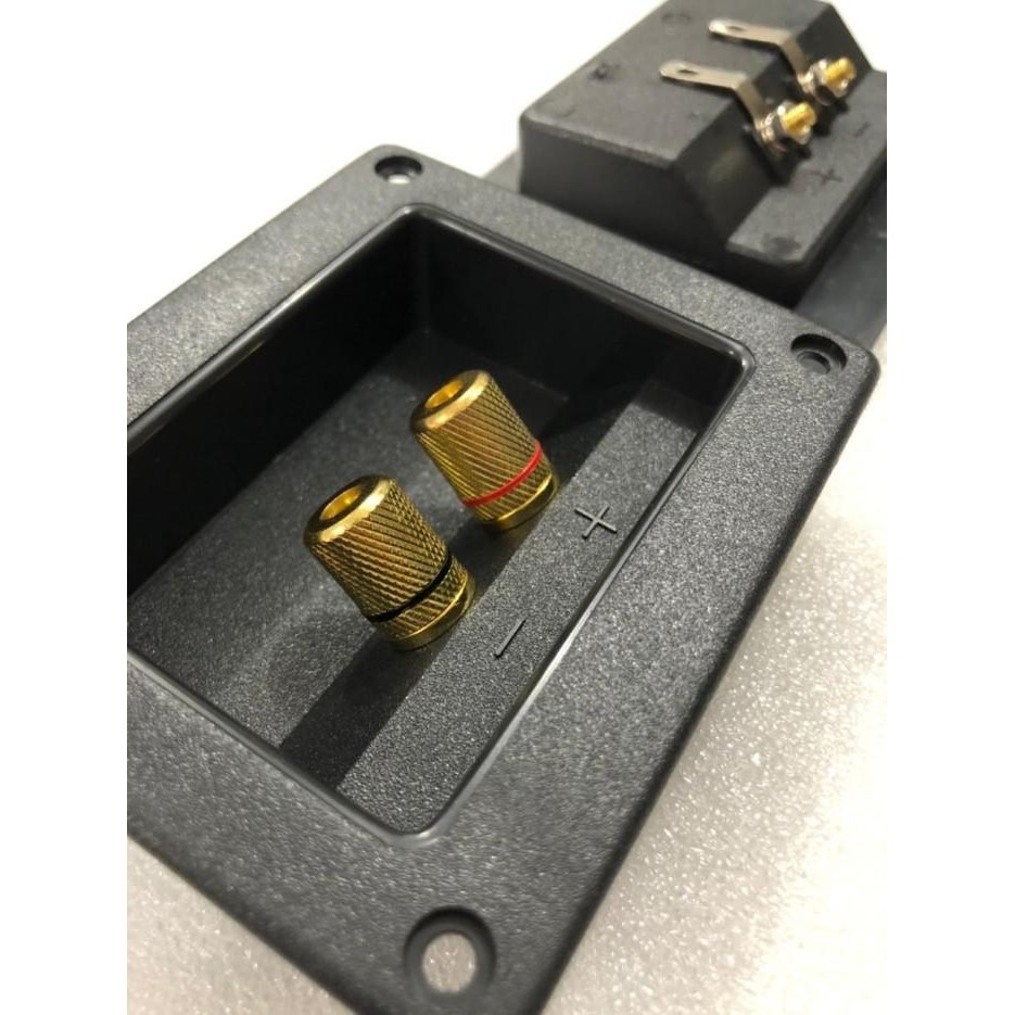 Expert Terminal Speaker KOTAK Binding Post GOLD