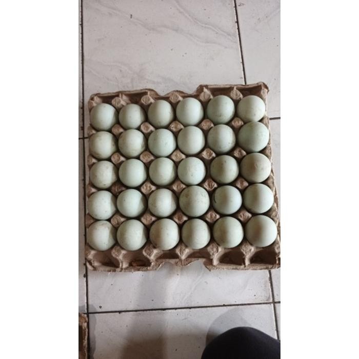

(Expert) Telur Bebek Mentah Organik 1 tray 30 butir