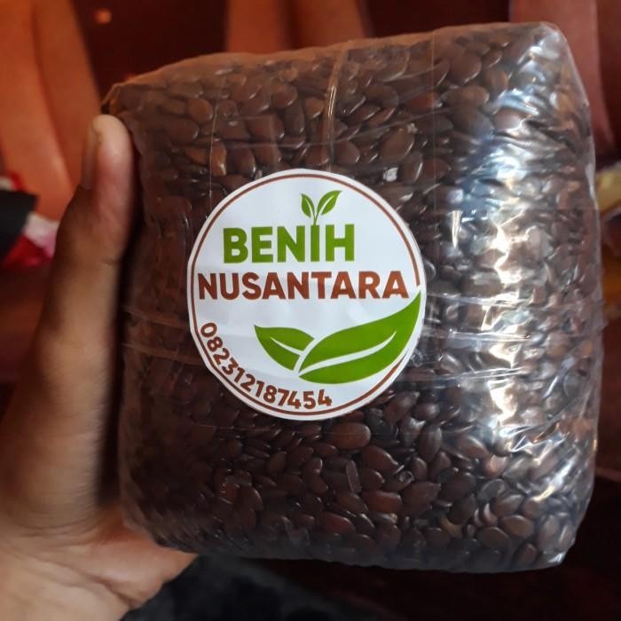 

(Expert) BIJI LAMTORO PETAI CINA 1KG BERSIH KERING