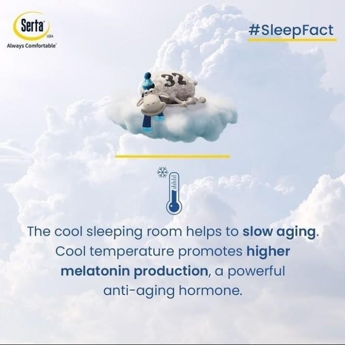 Serta Kasur Springbed Passion (Mattress Only) - Ukuran 120X200