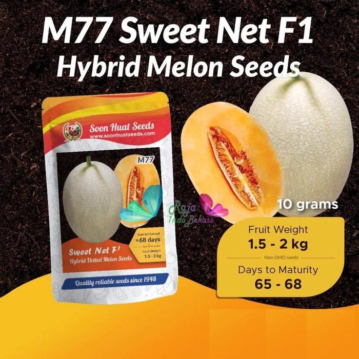 RAJA INDO ISI 10 GRAM Biji Benih Melon Sweet Net F1 M77 - ORI Bibit Melon Premium Sweet Net Manis