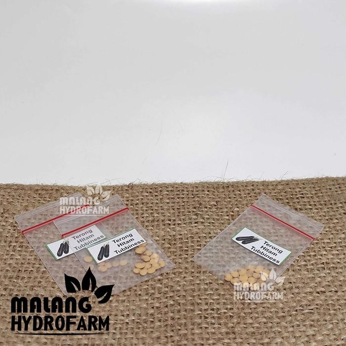 Tn Benih Terong Hitam Tubbiness Unggulan Berkualitas Biji Bibit Repack Terong Hitam Panjang