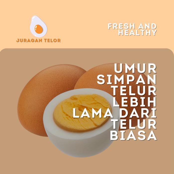 

(Expert) Telur ayam omega kaya manfaat untuk kesehatan satu tray isi 30 butir