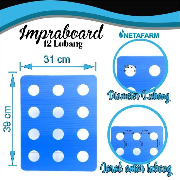 

(Expert) Impraboard Tutup Bak Baki Hidroponik 12 Lubang Sistem Wick