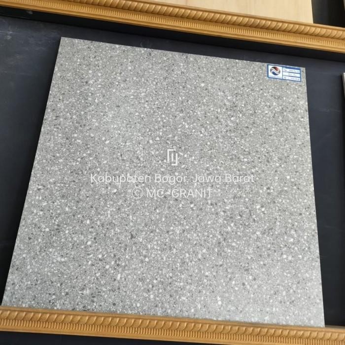 (Expert) Granit carport Garasi 60x60 terazo grey Mat arna arcadia