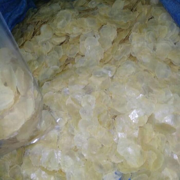 

New EMPING TIPIS // EMPING KECIL // EMPING BELINJO GURIH