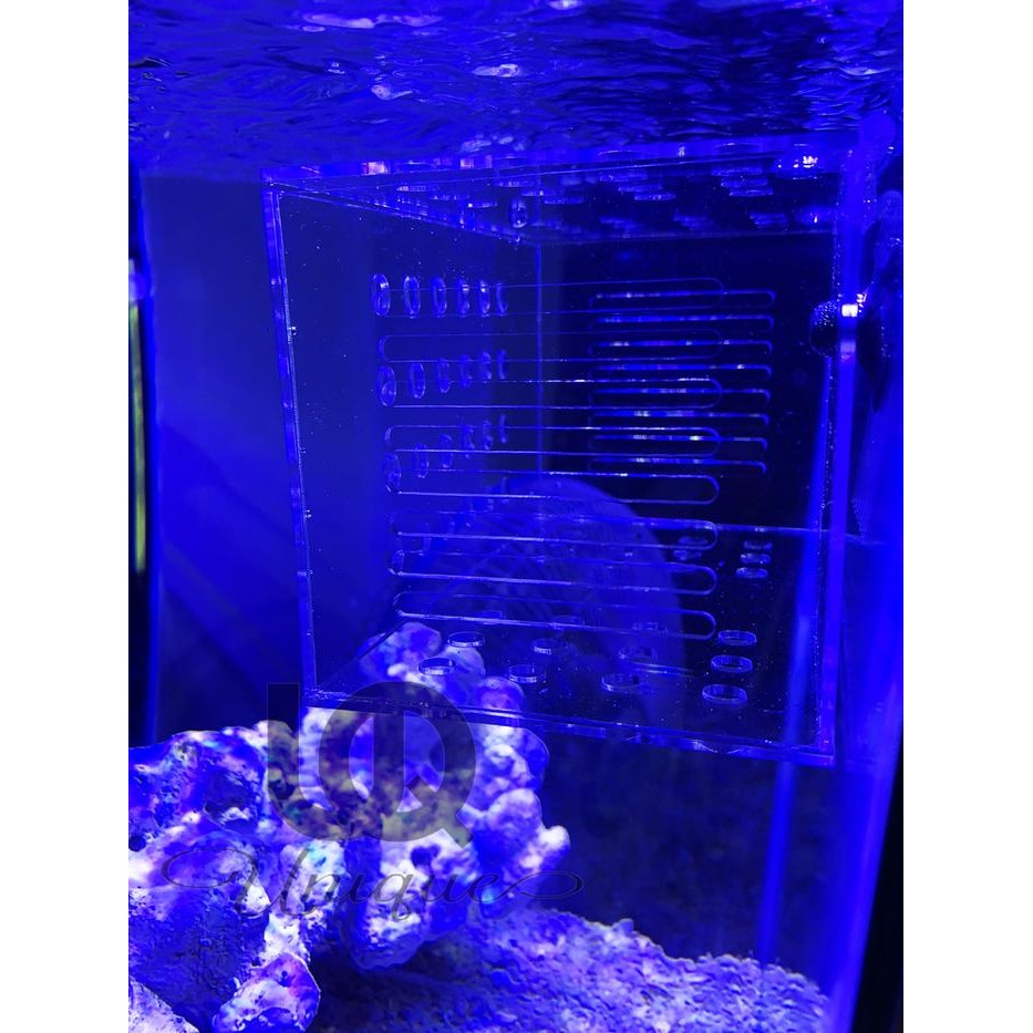Acrylic Box Aklimasi Ikan Laut - Tempat Karantina Ikan Tawar Akrilik