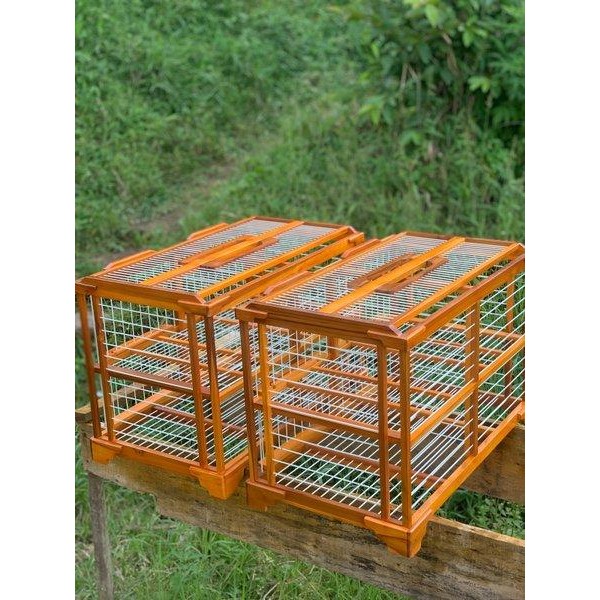 DONGDANG MERPATI JATI FIBER PINTU 4 UK JUMBO MURAH