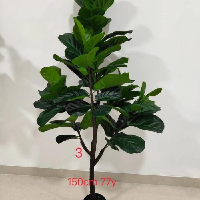 Tanaman Hias Artificial Pohon Plastik Ketapang Biola Cantik