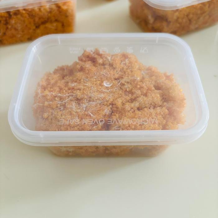 Telur Ikan Terbang, Telur Ikan Tuing-Tuing, Asli Dobo, Maluku, Asli Langsung Dr Nelayan, Kering Dan