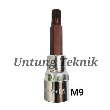 Gestar by Crossman Spline Socket bit 1/2" - Kunci Sok bintang segi12