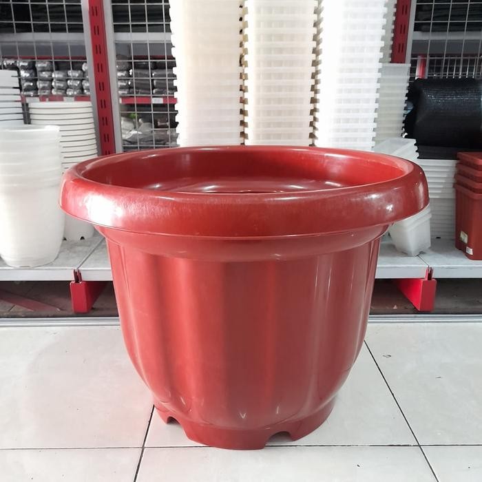 *:*:*:*:*] Pot BigMom Bata 60cm 60 cm Tanaman Bunga Buah Hias Ukuran Besar Jumbo