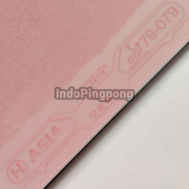 Xiom Vega H Pro Asia Europe China Hybrid Euro 79 078 079 080