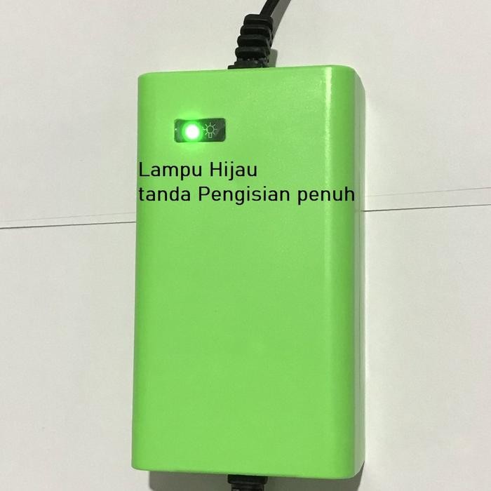 Accu Aki Baterai Battery Charger Mobil Motor Mainan Anak Charger 6V