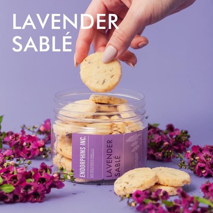 

OR6T Endorphins - Lavender Sable Cookie
