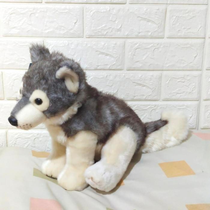 Boneka Anjing Siberian Husky Cantik