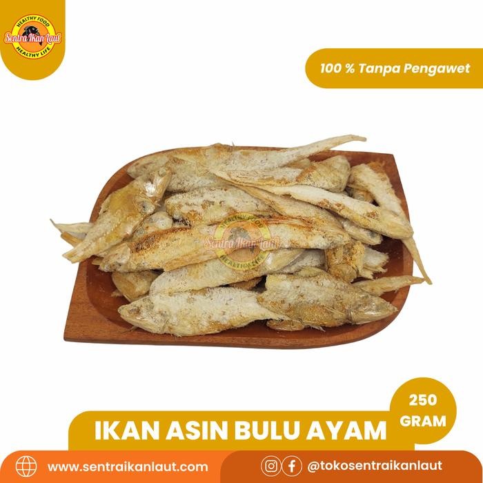 

IOI2 Ikan Asin Bulu Ayam 250 Gram