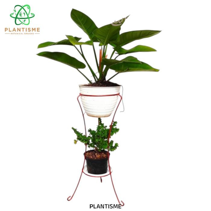 Mode Vintage Diamond Standing Pot Tanaman Tinggi & Besar Kuat Menopang Tanaman Daun Megah, Cocok