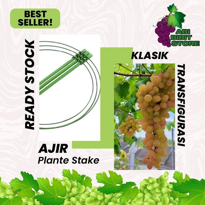 Mode Vintage Plant Stake/Ajir Transfigurasi, Penyanggah Tanaman Anggur