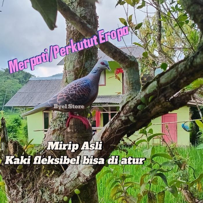 Mode Vintage Patung Merpati Eropa / Jontrot Perkutut