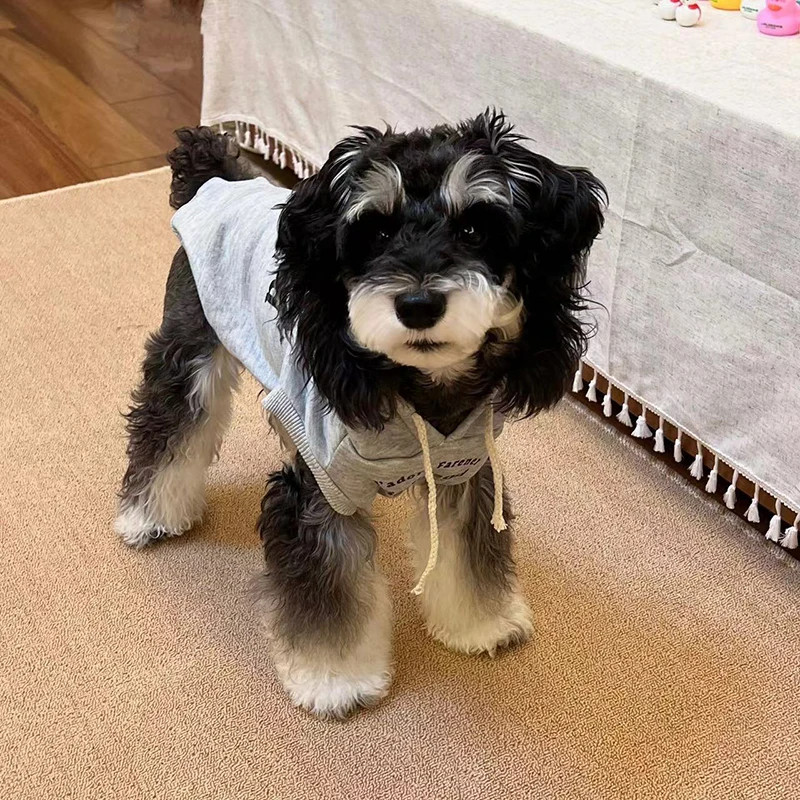 

Dog Clothes Winter Dog Hooded Sweatshirt Warm French Bulldog Puppy Coat for Small Medium Dogs Pet