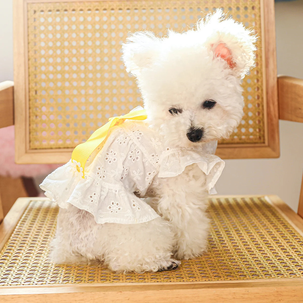 

1PC Pet Clothing Dog Summer White Hollow Breathable Dress with Bow Knot Hollow out Suitable for