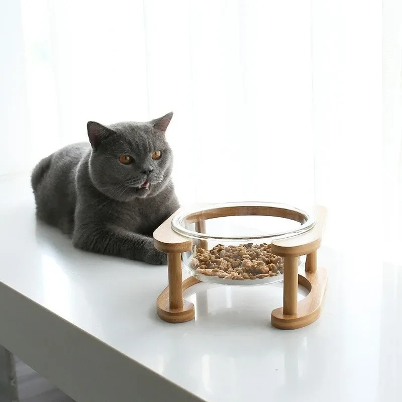 

Double bow Cat Raised Glass Bowl Pet Elevated Wood Stand Neck Care Design For Kitten Puppy Confort