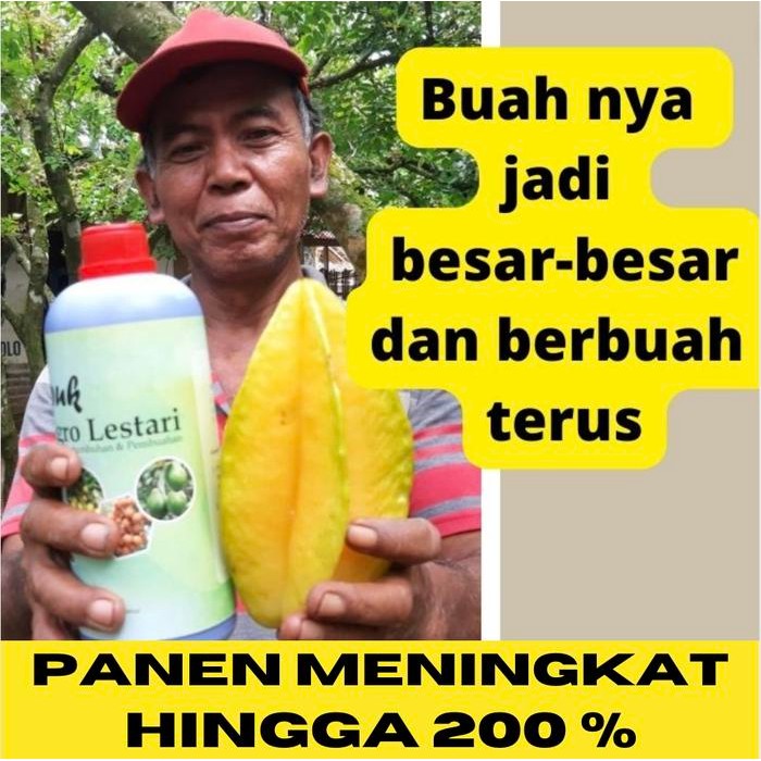 PUPUK PENYUBUR DAN PELEBAT BUAH - PUPUK AGRO LESTARI