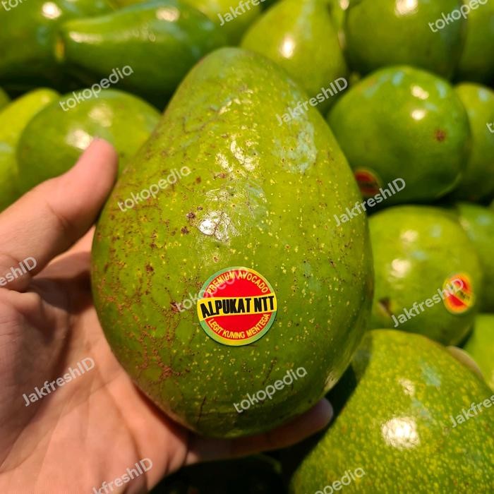 

SIAPKIRIM alpukat mentega NTT alpukat legit kuning mentega dari NTT pilihan 1kg READY STOCK