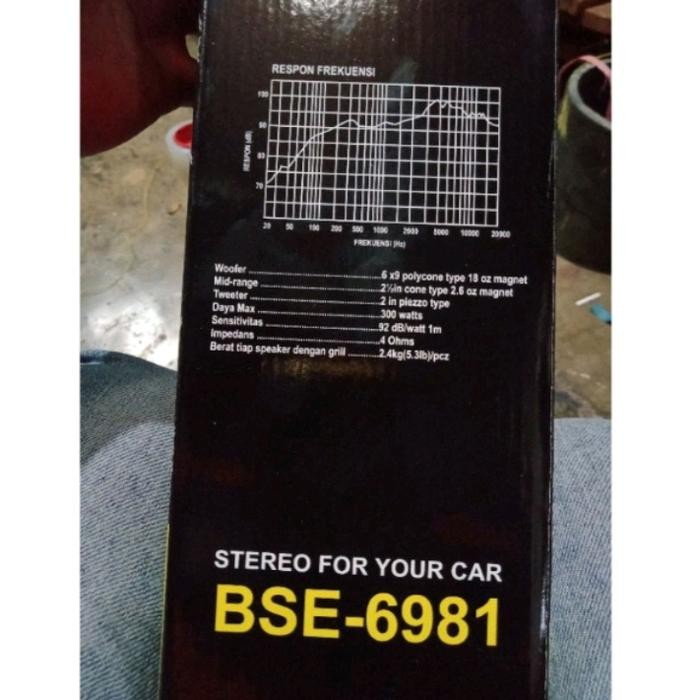 Speaker Oval Buat Mobil Boston Bse 6981 Sepasang
