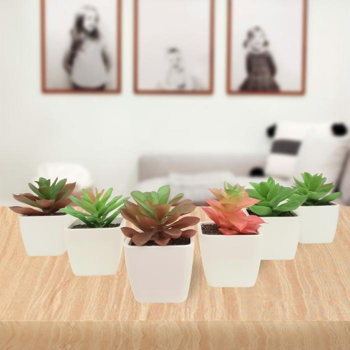 (Allthebest) KAKTUS SUKULEN MINI Artificial Dekorasi Tanaman Hias Palsu Aesthetic Hiasan Latex