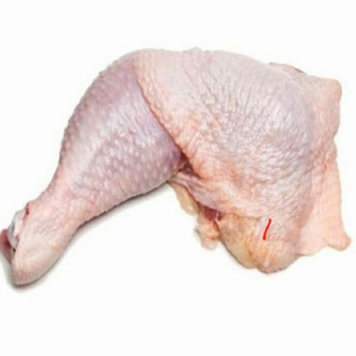 

(Allthebest) Daging Ayam Potong Fresh Bagian Paha Utuh