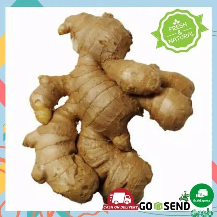 

(Allthebest) JAHE GAJAH